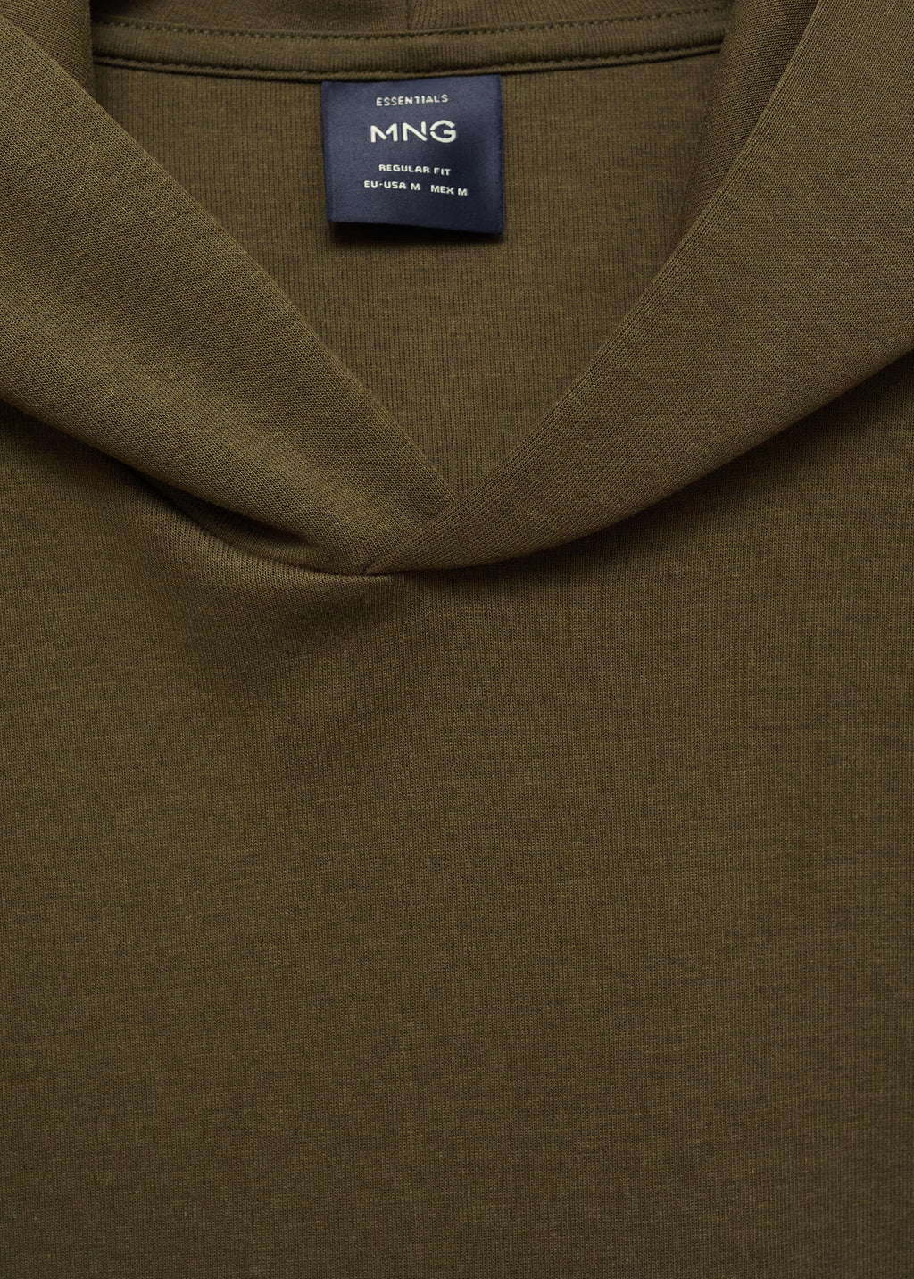 Regular kesim kapüşonlu sweatshirt