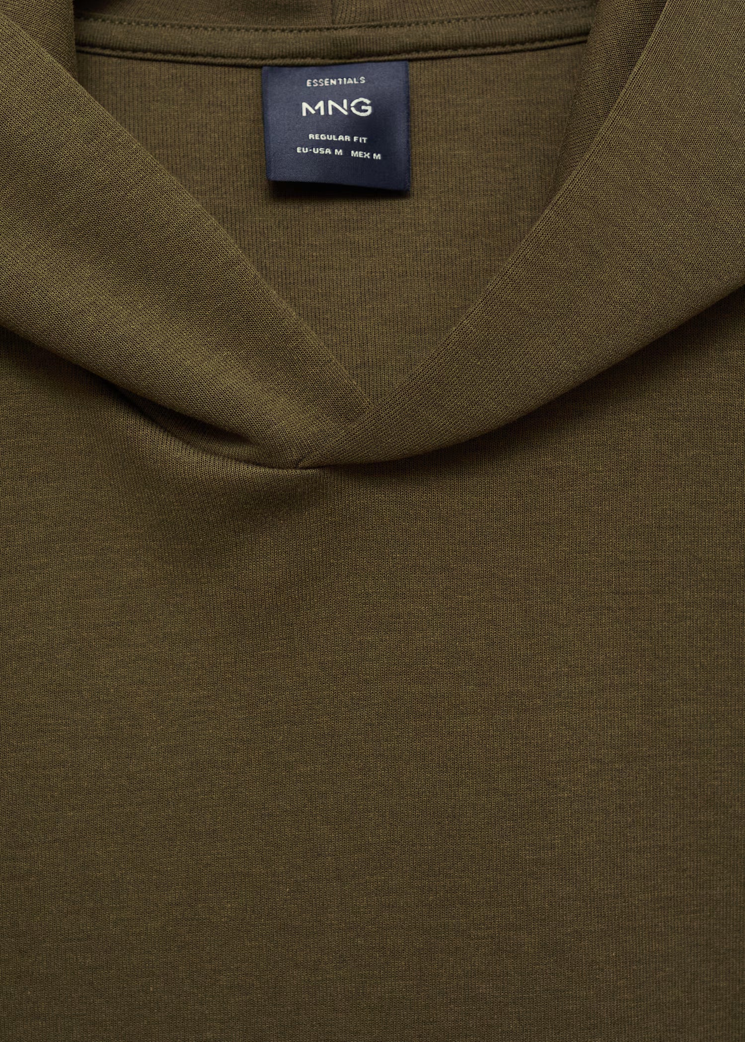 Regular kesim kapüşonlu sweatshirt